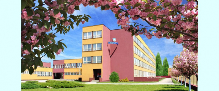 Освітня реформа: чому навчальні заклади в Ужгороді стали гімназіями та ліцеями?