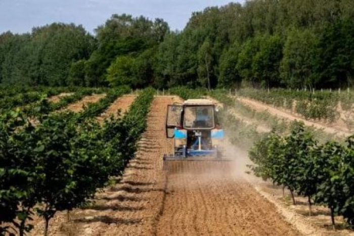 Закарпатські аграрії отримають понад 82 млн грн за програмою «єРобота»