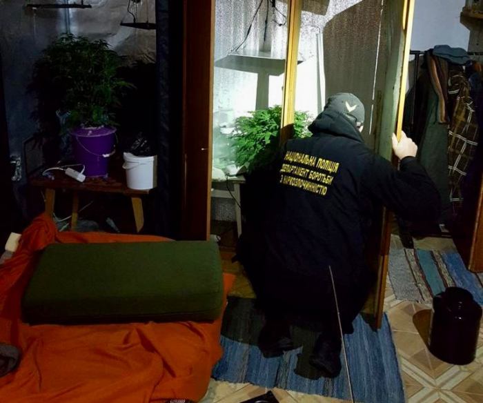 На Ужгородщині у мешканця села Барвінок виявили майже 1 кг марихуани та мінілабораторію (ФОТО)