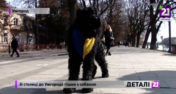 Киянин, що мандрує пішки із собакою, дістався Ужгорода (ВІДЕО)