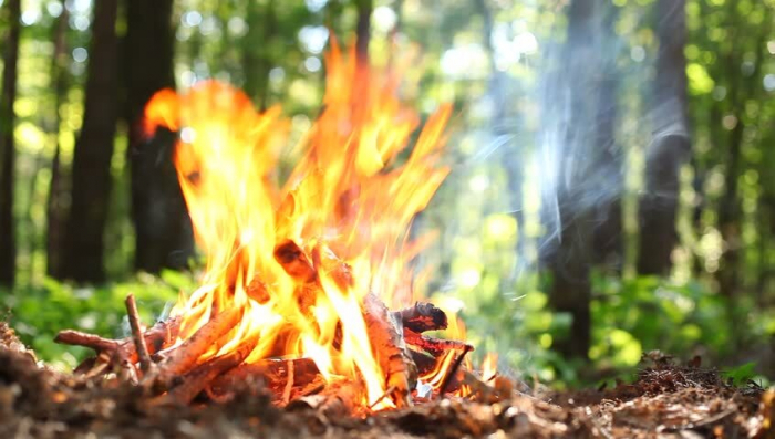 На Закарпатті заборонили розпалювати багаття у лісових масивах