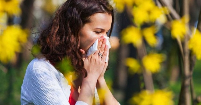 Весняне загострення: що робити алергікам на Закарпатті, які страждають від алергії на цвітіння (ВІДЕО)