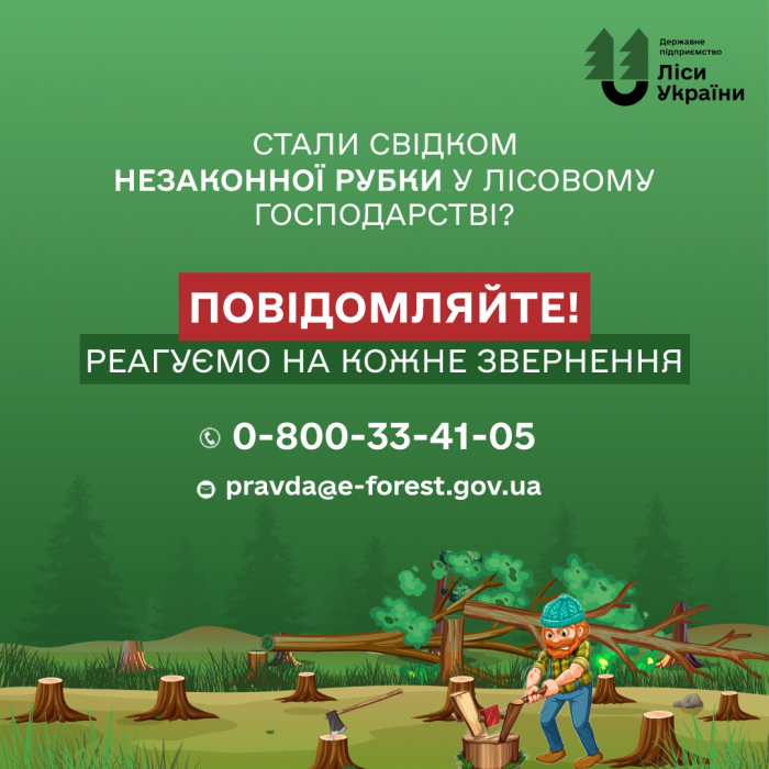 Закарпатські лісівники закликають інформувати про незаконні рубки в лісах