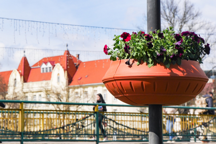 В Ужгороді висадили квіти у кашпо на площах та набережних