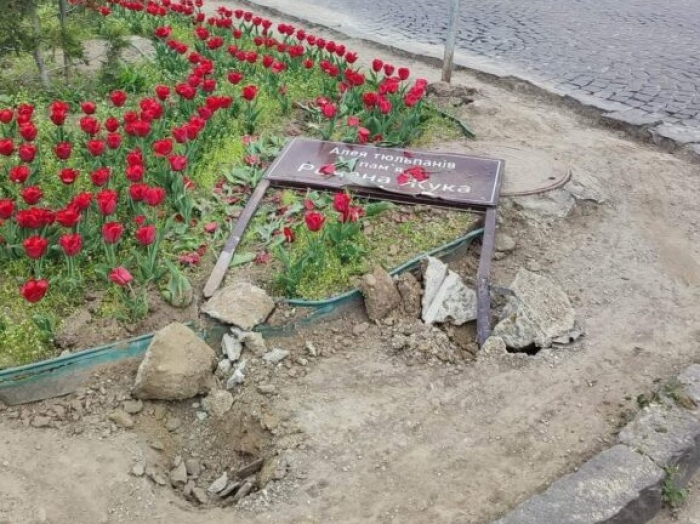 У Мукачеві встановили особу водія, що в'їхав в алею тюльпанів пам'яті Романа Жука і втік (ФОТО, ВІДЕО)