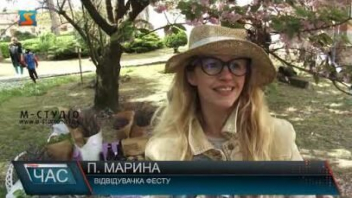 Благодійний фестиваль пройшов в Ужгороді (відео)