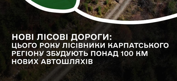 Цьогоріч лісівники Карпатського регіону збудують понад 100 км нових автошляхів
