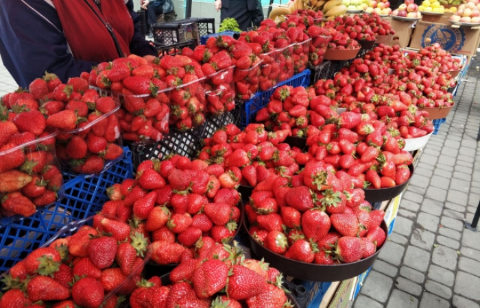 Полуниця, абрикоси, черешня: Ціни на фрукти в Закарпатті поки що завеликі (ФОТО)