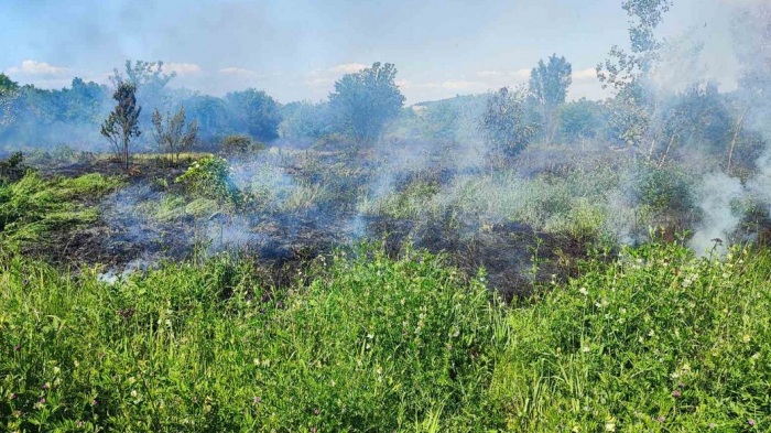 Один гектар сухої трави та чагарників згорів на Закарпатті
