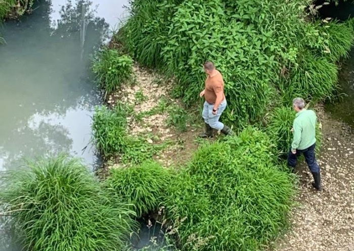 В Ужгороді працівники екоінспекції виявили забруднення річки Уж