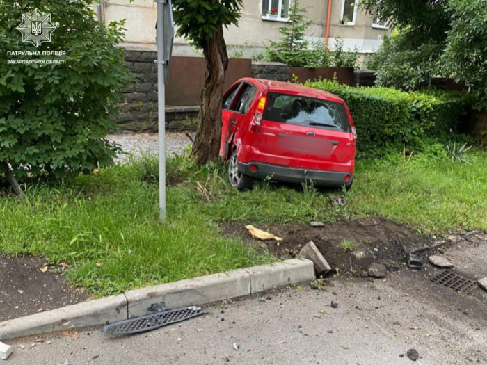 В Ужгороді п'яний водій наїхав на дерево та пошкодив електроопору (ФОТО)