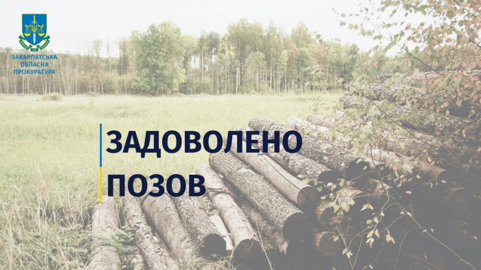 Лісгосп на Рахівщині повинен відшкодувати майже 7 млн грн збитків, завданих незаконними рубками лісу