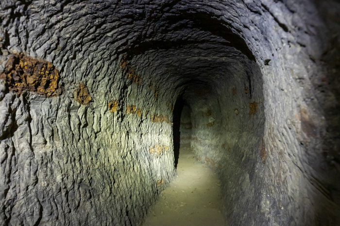 Неподалік Ужгорода, на крутому березі Ужа, знайшли загадкові старовинні "печери" (ФОТОРЕПОРТАЖ)