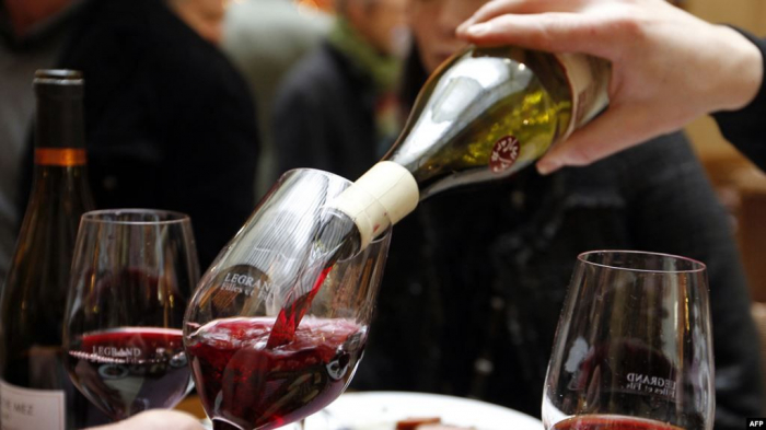 Конкурс вин за міжнародними правилами проведуть на Закарпатті (ВІДЕО)