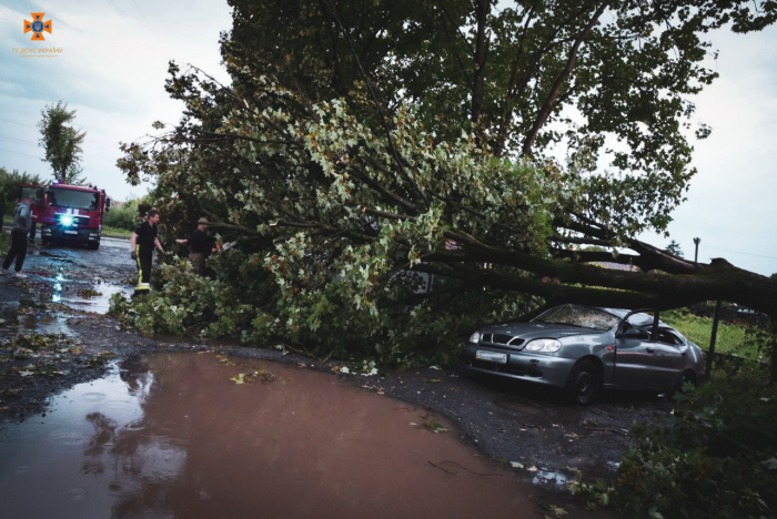 Повалені дерева, знеструмлені населені пункти, пошкоджені дахи та автомобілі – наслідки негоди на Закарпатті