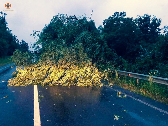 На Закарпатті негода повалила дерева та знеструмила 30 населених пунктів (ФОТО)