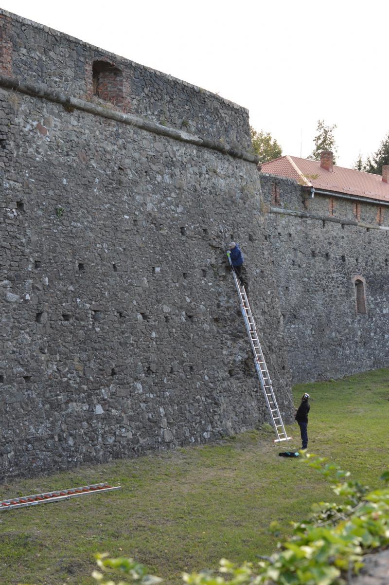 Стіни Ужгородського замку «лікують» від руйнівної рослинності
