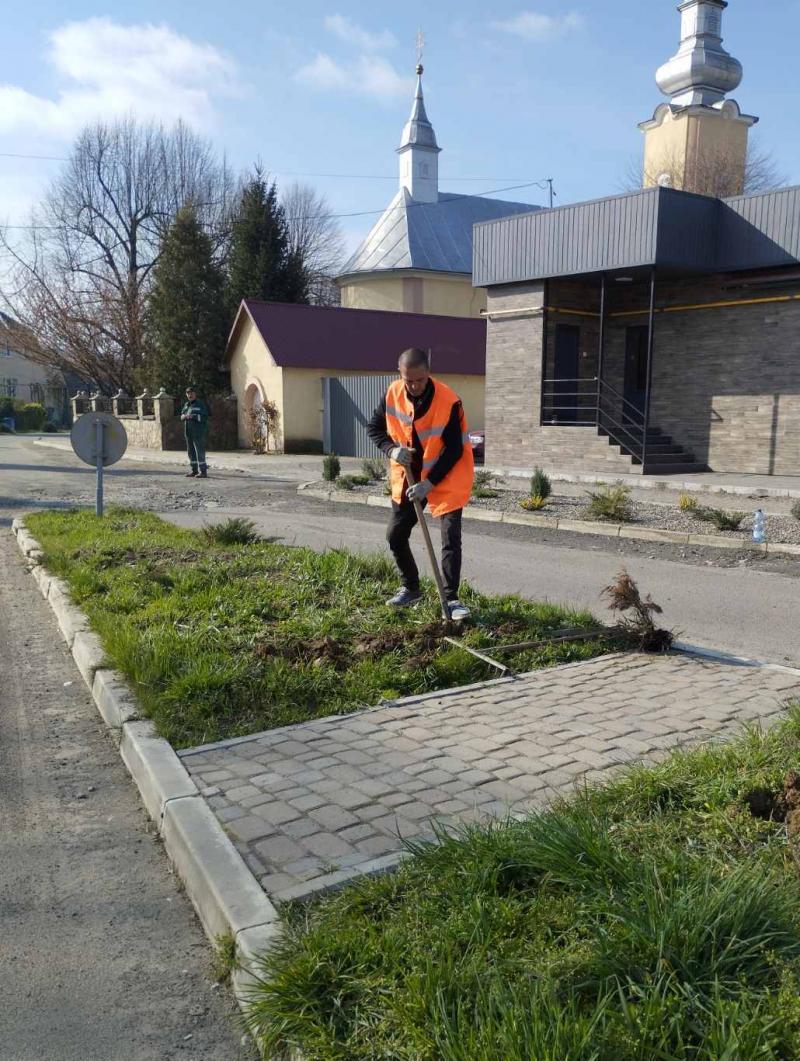 Ще понад 900 кущів троянд прикрасять клумби та зелені зони в Ужгороді (ФОТО)