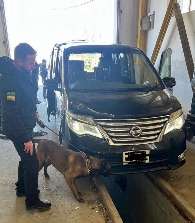 Наркотики, зброя та валюта - на рахунку службових собак Закарпатської митниці