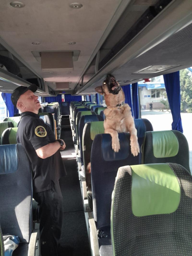 Невдала спроба перемістити приховані цигарки в туалеті автобуса обернулася для водія серйозною адмінвідповідальністю
