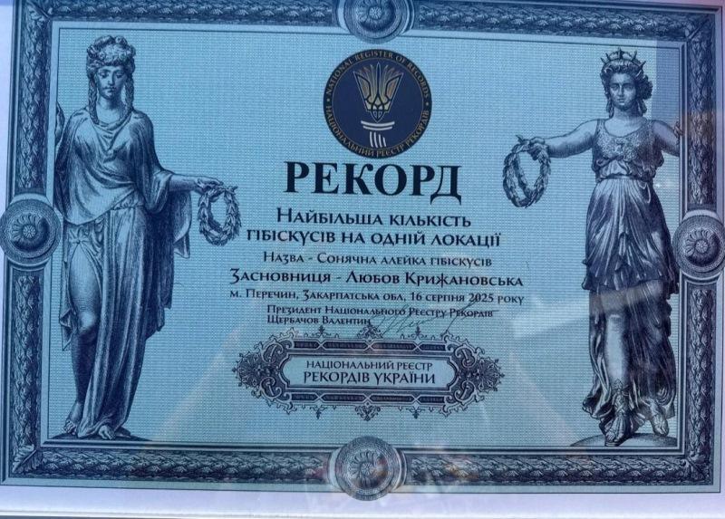 Перечин встановив рекорд України в номінації "Найбільша кількість гібіскусів на одній локації"