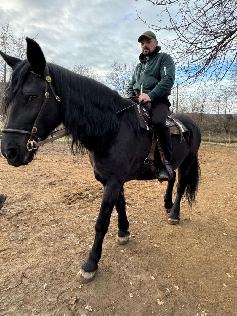 Ужгородські ветерани взяли участь у реабілітаційному інтенсиві з іпотерапії