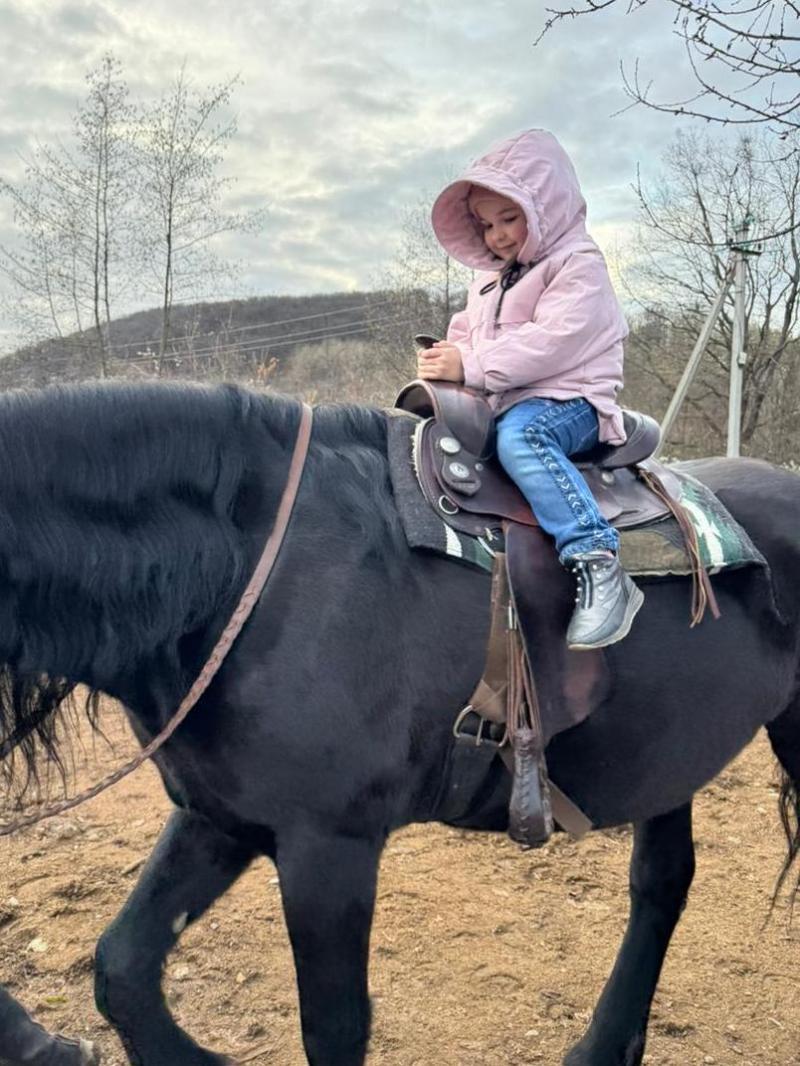 Ужгородські ветерани взяли участь у реабілітаційному інтенсиві з іпотерапії