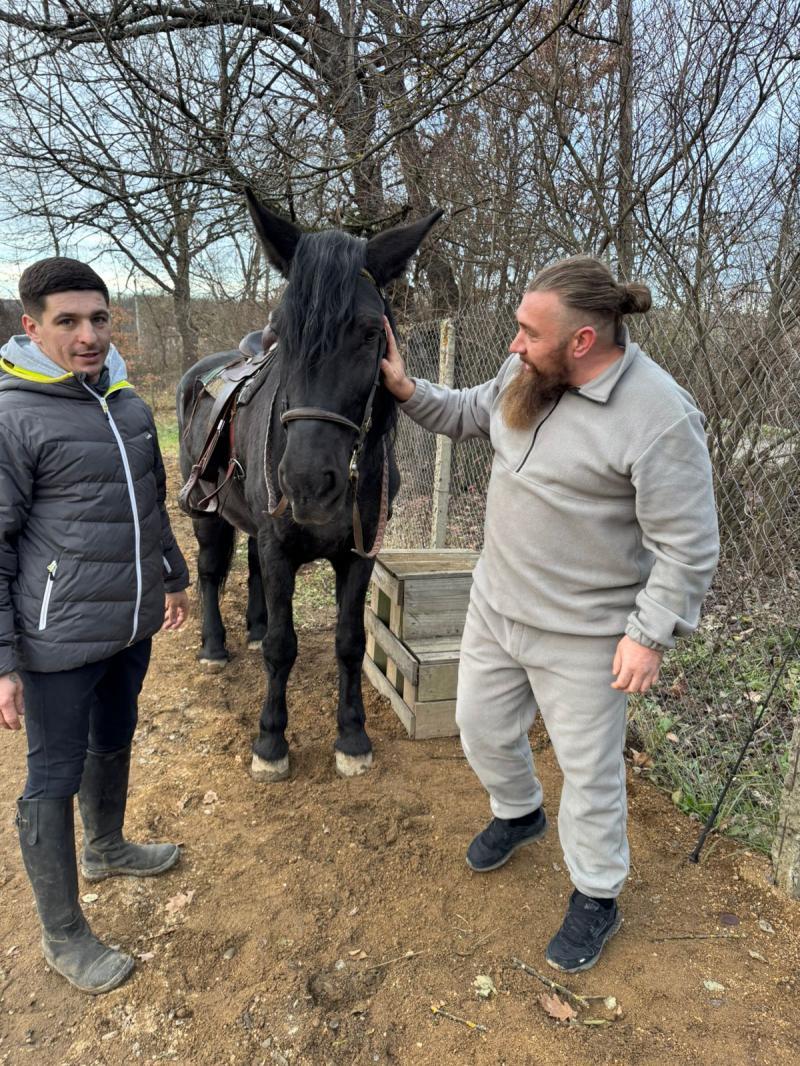 Ужгородські ветерани взяли участь у реабілітаційному інтенсиві з іпотерапії