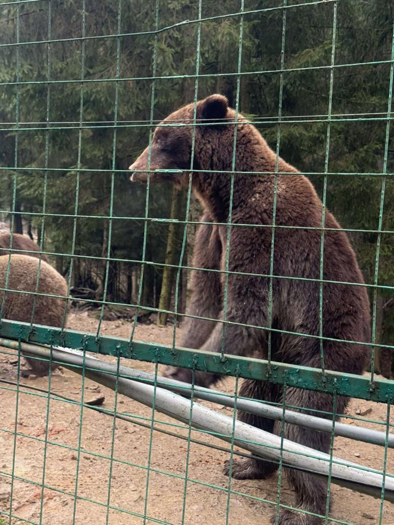 НПП «Синевир» став місцем проведення ретриту психологічної підтримки для родин Захисників України