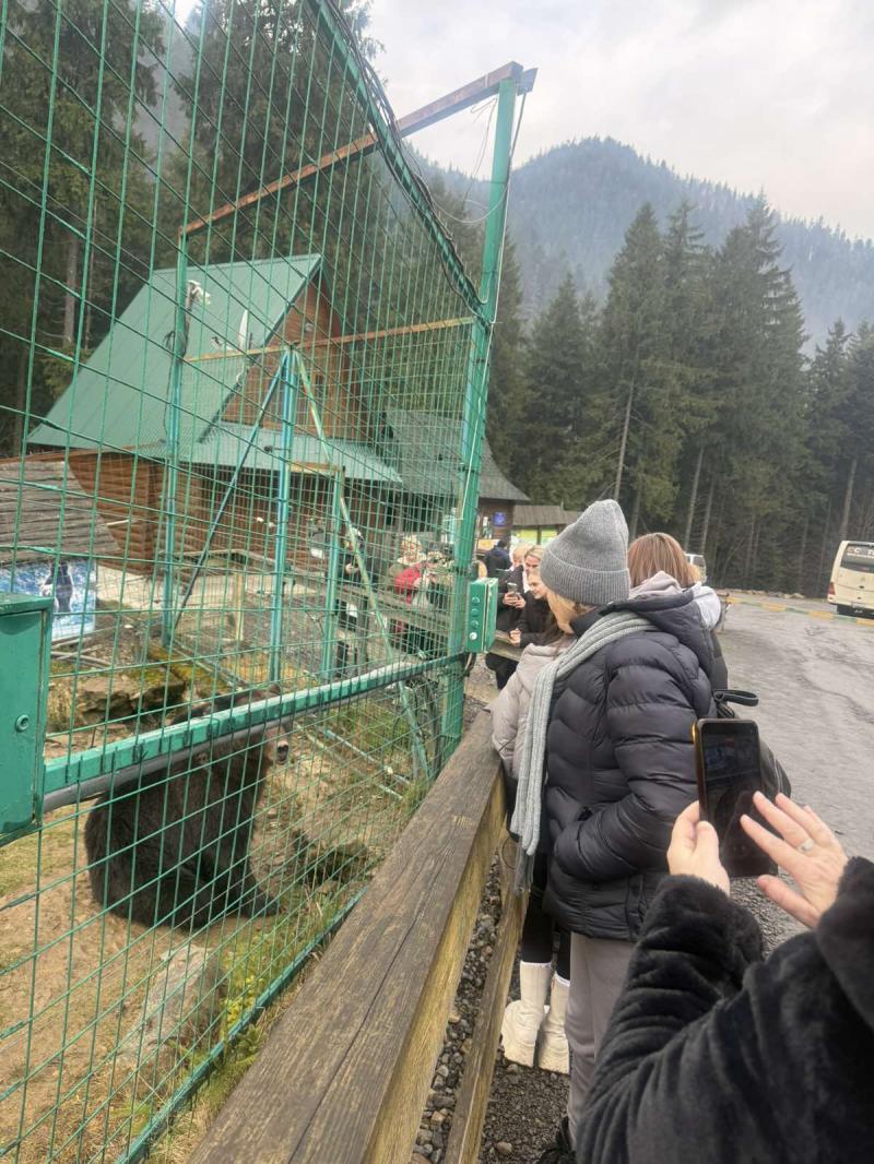 НПП «Синевир» став місцем проведення ретриту психологічної підтримки для родин Захисників України