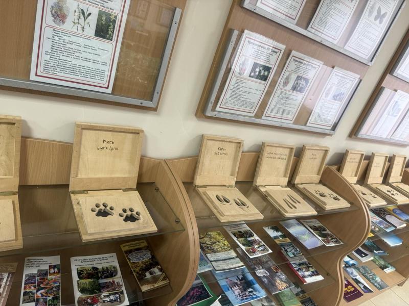 НПП «Синевир» став місцем проведення ретриту психологічної підтримки для родин Захисників України