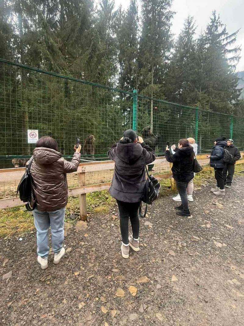 НПП «Синевир» став місцем проведення ретриту психологічної підтримки для родин Захисників України