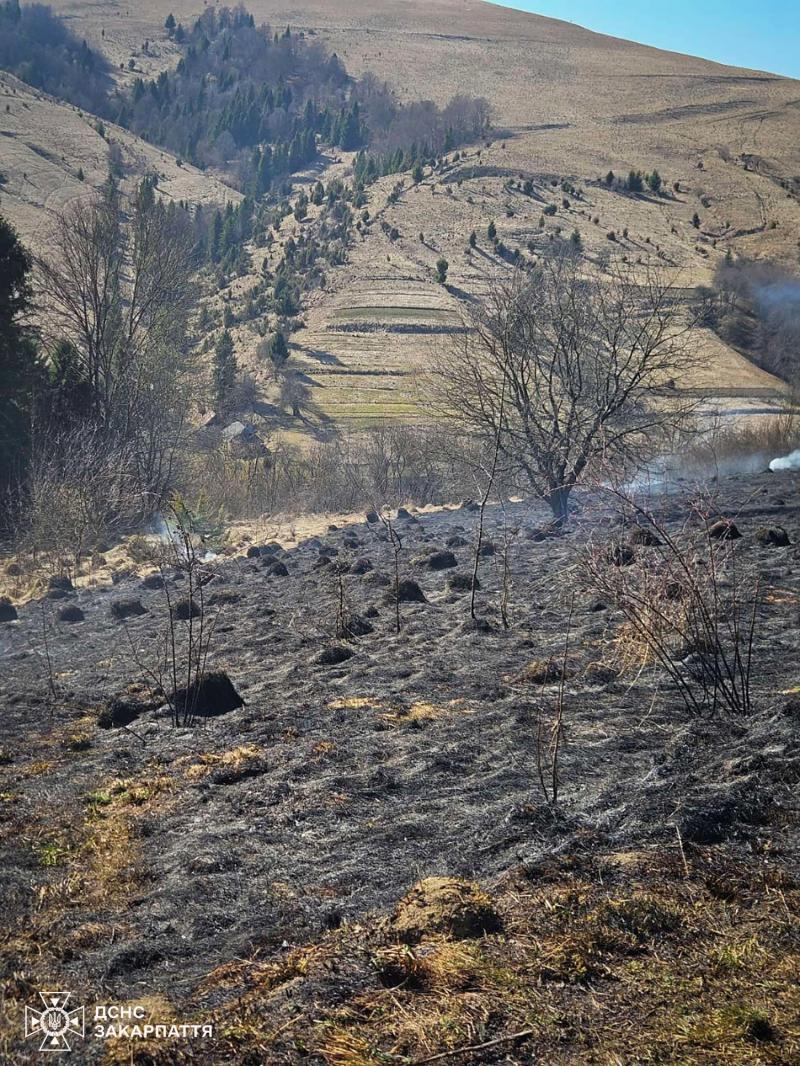 2,25 гектара лісової підстилки — такі втрати від двох пожеж на Закарпатті лише за одну добу