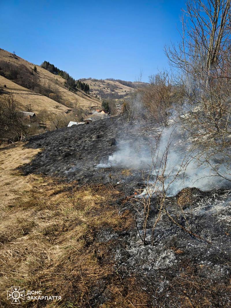 2,25 гектара лісової підстилки — такі втрати від двох пожеж на Закарпатті лише за одну добу