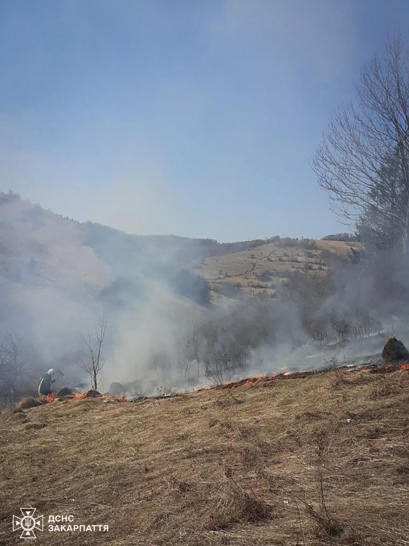 2,25 гектара лісової підстилки — такі втрати від двох пожеж на Закарпатті лише за одну добу