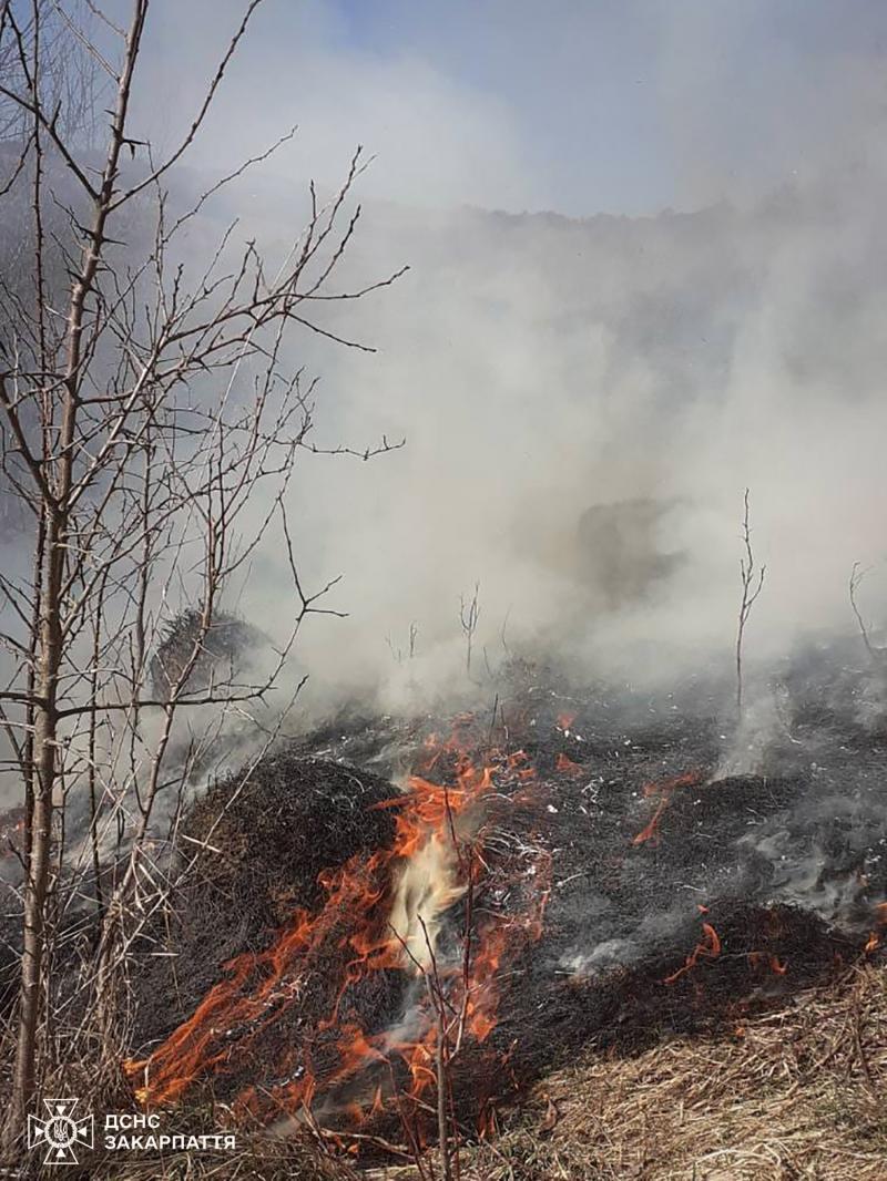 2,25 гектара лісової підстилки — такі втрати від двох пожеж на Закарпатті лише за одну добу