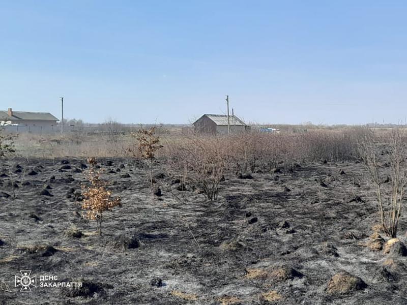 Попри похолодання та опади пожежі в екосистемах на Закарпатті тривають
