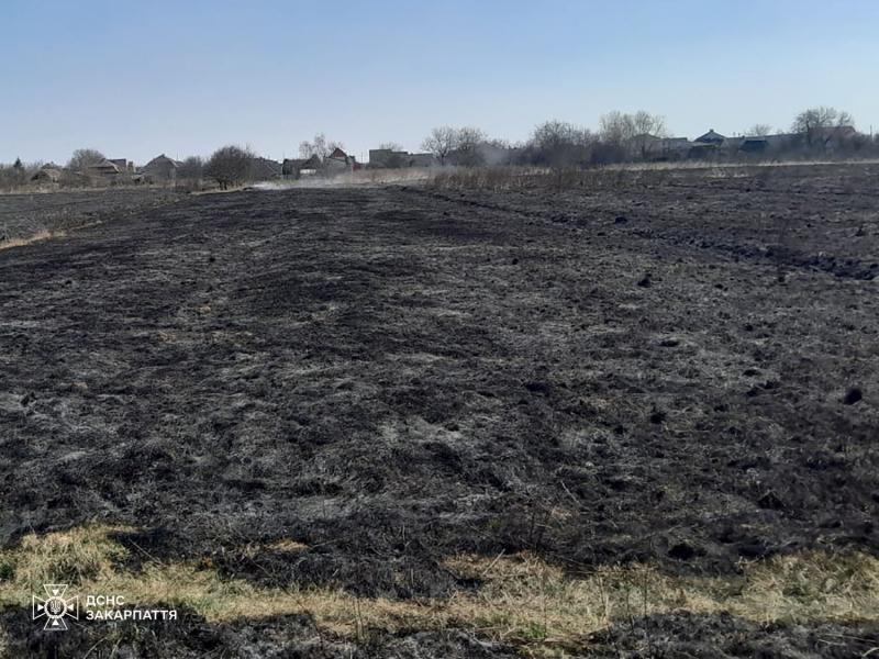 Попри похолодання та опади пожежі в екосистемах на Закарпатті тривають