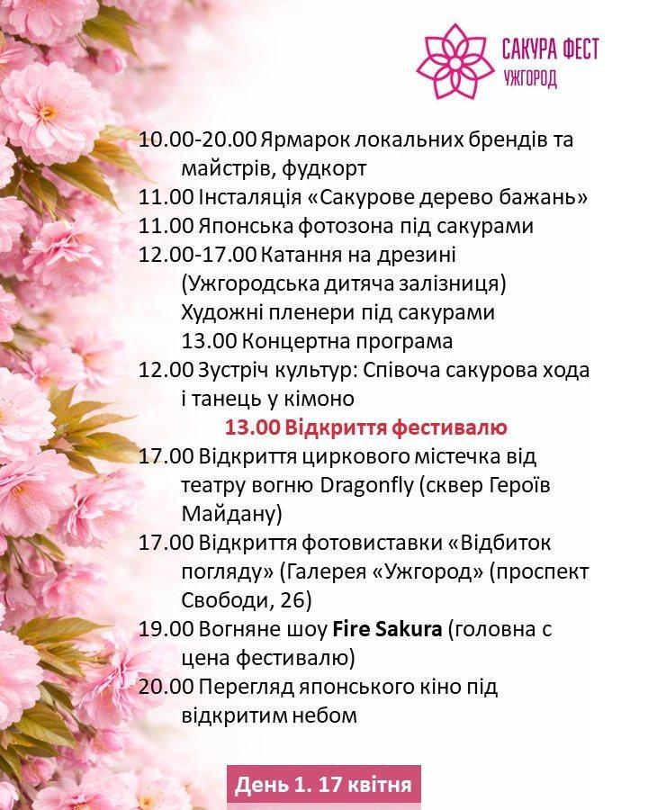 «Сакура Фест 2026» в Ужгороді: програма благодійного фестивалю