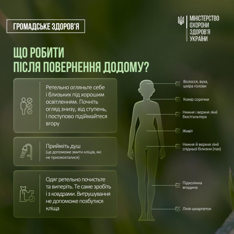 Кліщі активізувалися: що варто знати, щоб уберегтися