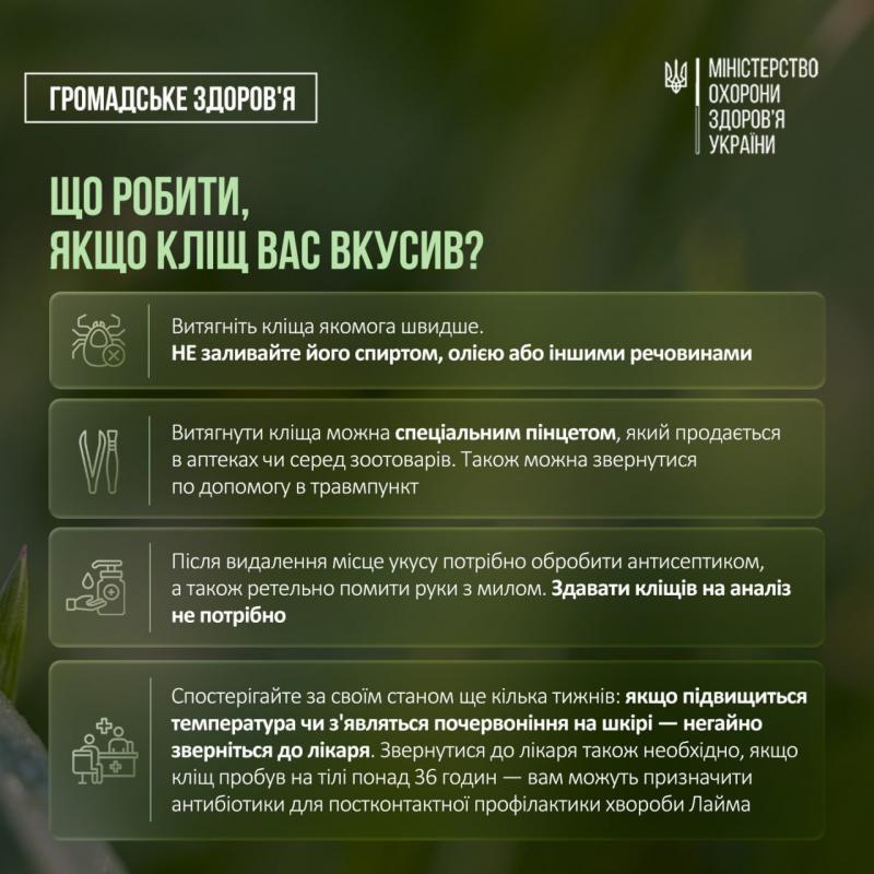 Кліщі активізувалися: що варто знати, щоб уберегтися