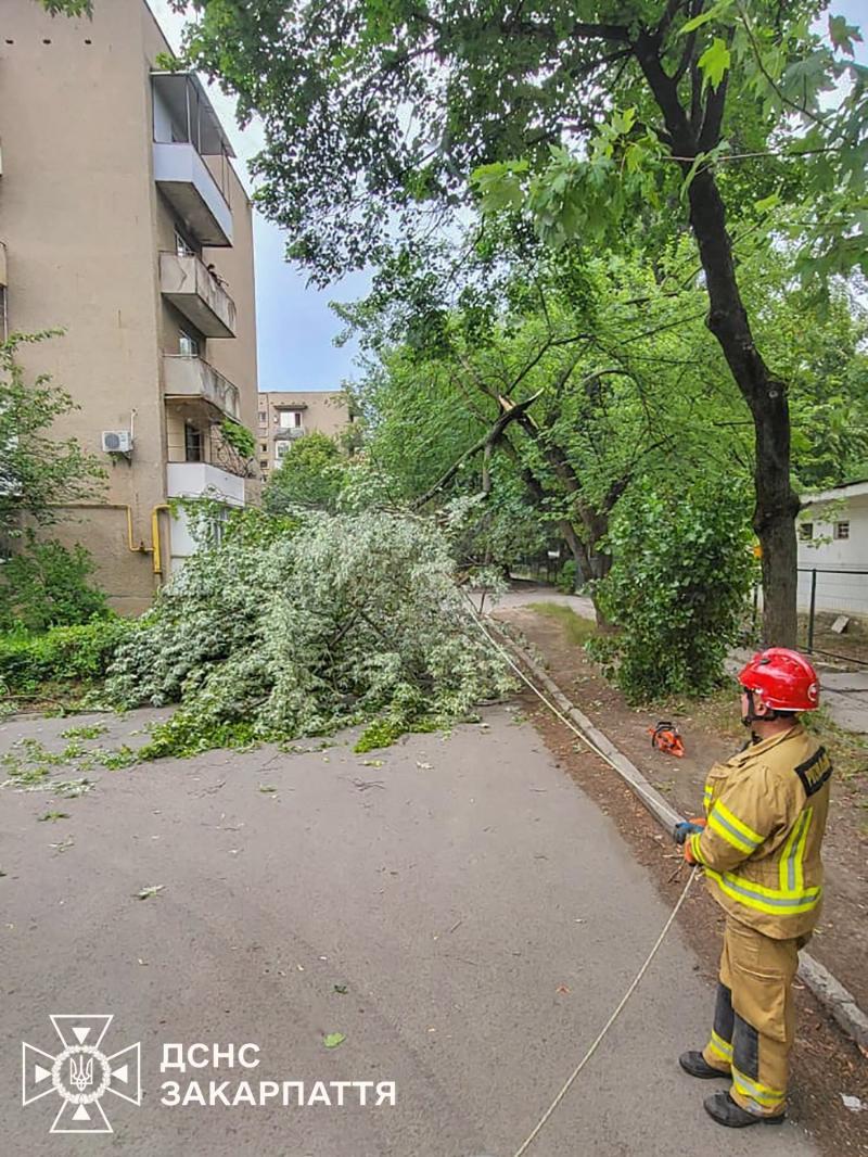 На Закарпатті надзвичайники розчищали автошляхи від повалених негодою дерев