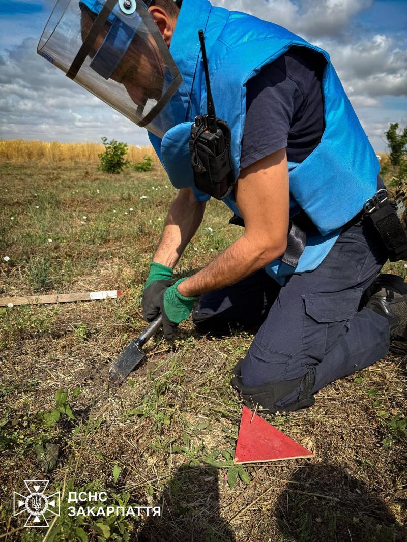 Закарпатські піротехніки виконують завдання з гуманітарного розмінування на Миколаївщині