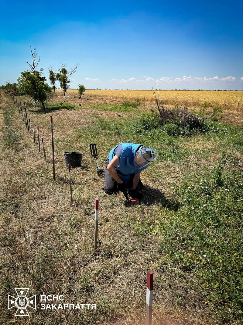 Закарпатські піротехніки виконують завдання з гуманітарного розмінування на Миколаївщині