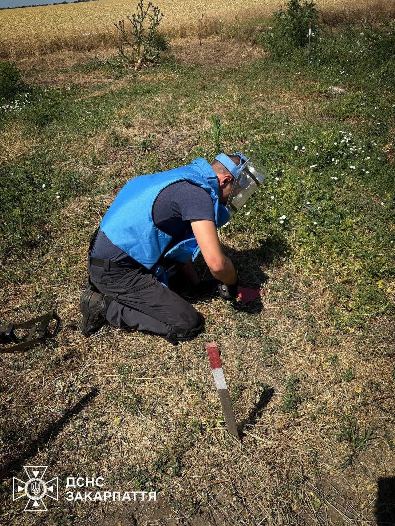 Закарпатські піротехніки виконують завдання з гуманітарного розмінування на Миколаївщині