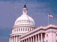 Сенатори США закликають Київ провести чесні вибори
