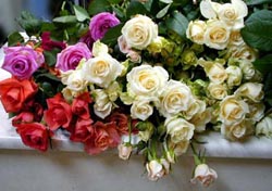 Ужгород сьогодні