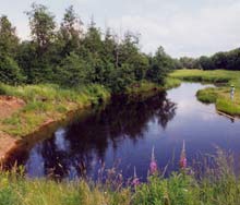 НА ВОДОЙМАХ ЗАКАРПАТТЯ ПРОДОВЖУЮТЬ ГИНУТИ ЛЮДИ