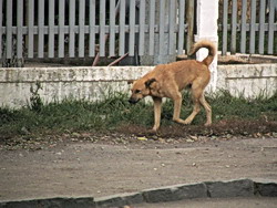 Ужгород сьогодні