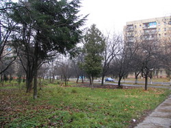 Ужгород сьогодні